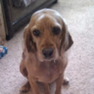 Meet your Posher, Aimee